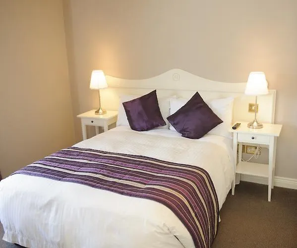 卓梅恩斯酒店 * Baltinglass